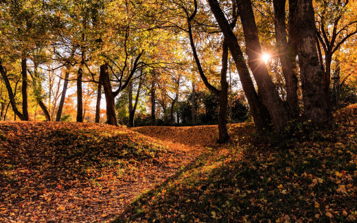 1754234 (a): :1920x1200